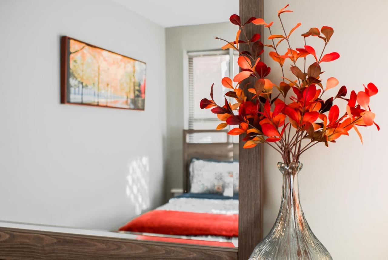 Lovely 2Br Apartment By Wooster Square- Great Neighborhood New Haven Esterno foto