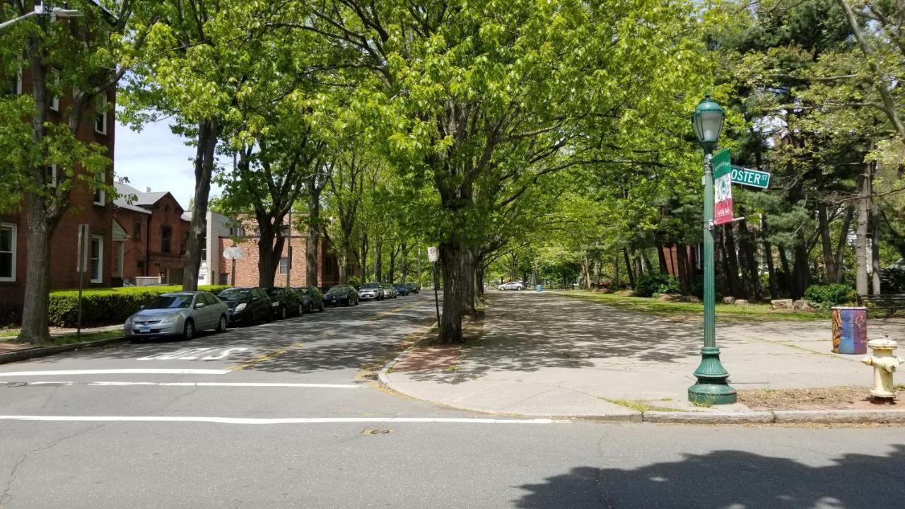 Lovely 2Br Apartment By Wooster Square- Great Neighborhood New Haven Esterno foto